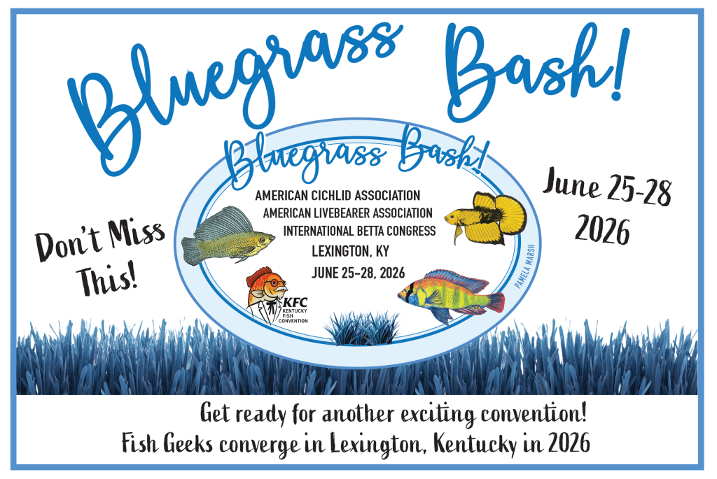 bluegrassbash-large-logo